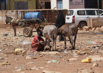 World Bank gives Somalia US$75mn funding for healthcare