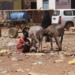 World Bank gives Somalia US$75mn funding for healthcare