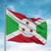 Burundi Trade Information Portal (TIP)