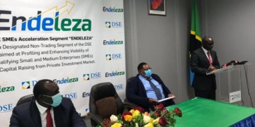 Endeleza DSE SME Tanzania