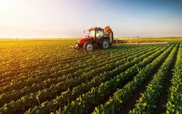 Insuring Agriculture in South Africa