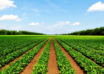 Rwanda Agricultural cooperation deal