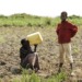 Farm land in Africa: Exchange