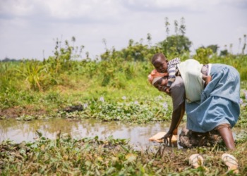 A woman and her child fetching water from a swamp in Kikomera Biri village in Uganda. Communities have to also play a role in ensuring that their water rights are addressed. www.theexchange.africa