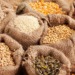 seed production in West Africa