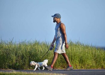 Many tag-alongs, such as dogs, are accompanying people all around the world. This creates an opportunity to make more money in a side hustle walking dogs. www.theexchange.africa
