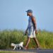 Many tag-alongs, such as dogs, are accompanying people all around the world. This creates an opportunity to make more money in a side hustle walking dogs. www.theexchange.africa