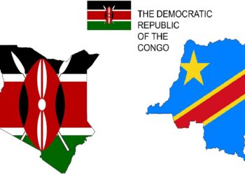 Kenyan investors are targeting the DRC economic zones to tap into the multibillion opportunities available.www.theexchange.africa