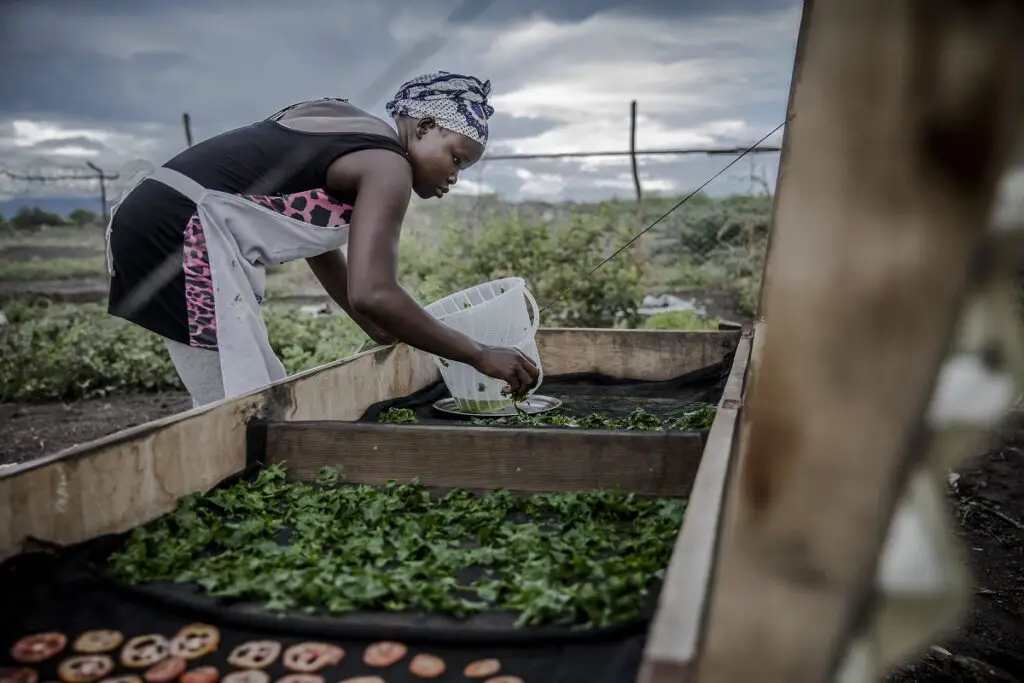 A farmer drying some vegetables. Ten selected priority commodities will get US$1.57 billion in funding over five years from the AfDB. www.theexchange.africa
