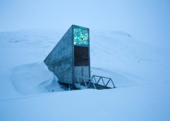The Global Seed Vault on Spitsbergen, Norway. The African farmer will need more than goodwill to survive any seed doomsday scenario. www.theexchange.africa