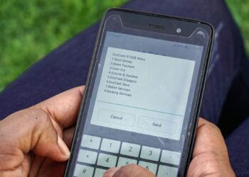 Zimbabweans have shifted en masse to mobile money usage. The system has become popular with 80 per cent of transactions in the country being conducted electronically. www.theexchange.africa