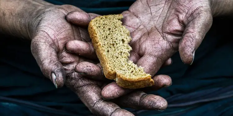 A morsel of bread. Kenya needs political will to ensure that agricultural productivity increases to stave off hunger. www.theexchange.africa