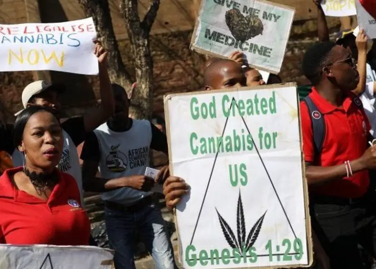 South Africans protest for the legalization of cannabis in the country. www.theexchange.africa