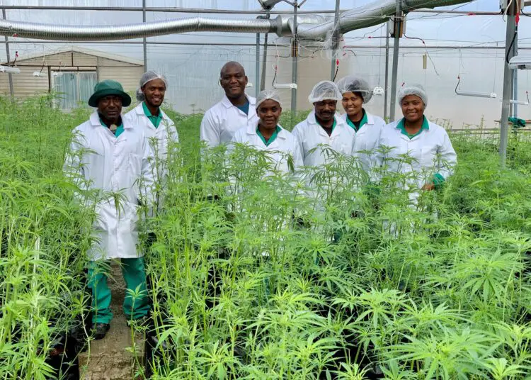 South Africa's largest medical cannabis facility. www.theexchange.africa
