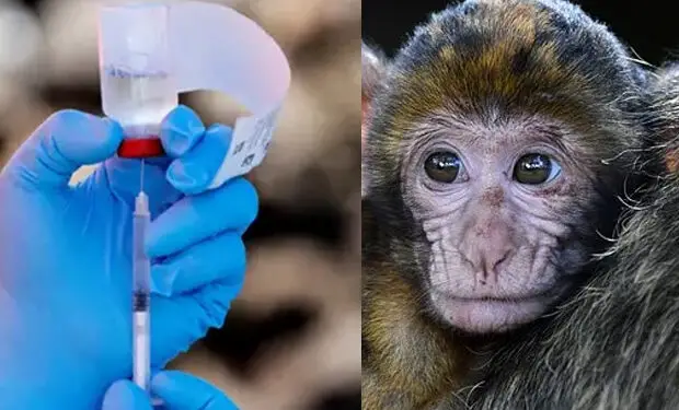 Ninety-five per cent of tests done on monkeys fail when done on humans. www.theexchange.africa