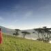 Ngorongoro crater present a unique taste to tourism in Tanzania/Photo by Tanzania Odyssey / The Exchange