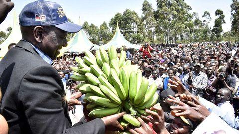 Deputy President William Ruto buys  bananas during their empowerment programme at Sironga grounds in West Mugirango, Nyamira County. www.theexchange.africa