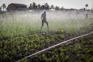 Ghana allocates US$105 million to rehabilitate irrigation schemes. www.theexchange.africa