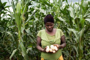 Tanzania’s agriculture ambitions fueling grain exportation in East Africa An African woman assessing her crops on farmland