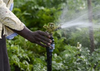 Water irrigation. One of the services that are open for investors in the Agricultural sector. www.theexchange.africa