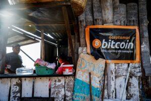 Trading strategies to profit from the lucrative cryptocurrency market Trading strategies to profit from the cryptocurrency market. www.theexchange.africa