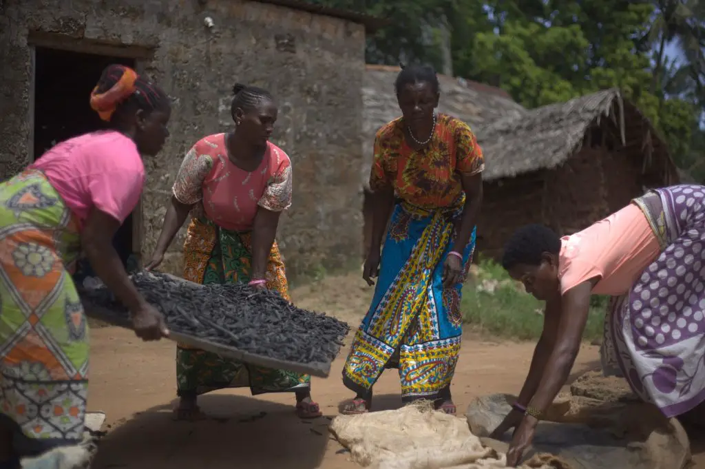 Women working to produce the reusable, organic charcoal in Zanzibar. The women are trained to convert biomass to charcoal. www.theexchange.africa