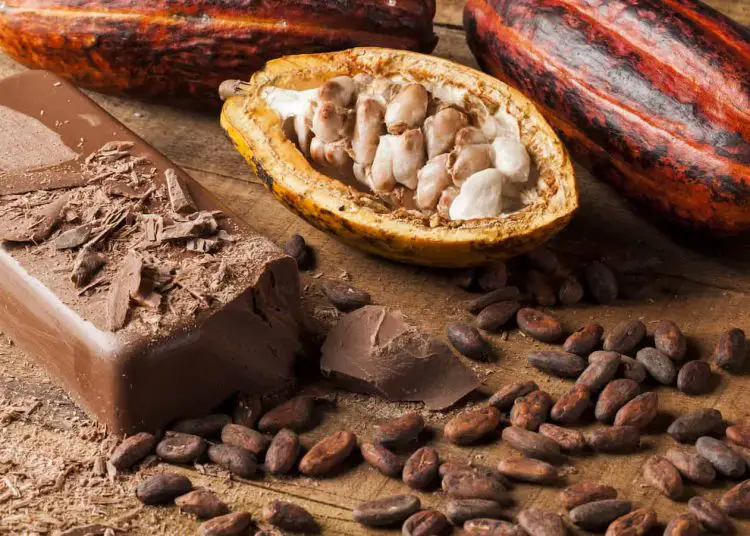 Cocoa exported to the US has amounted to US$2.5 billion over the last two decades. www.theexchange.africa