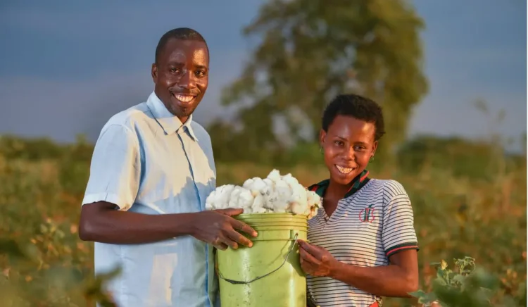 Brazil applies efficient technologies in Mozambique and Malawi to help small trade farmers get maximum benefits from cotton farming. www.theexchange.africa