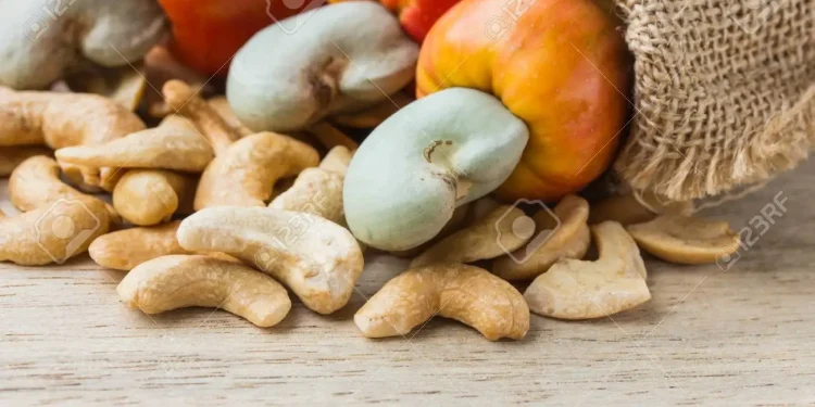 Cashew nuts market growing world wide with China launching national campaign for daily consumption of nuts. Photo/123rf