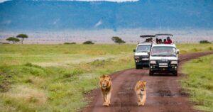 Kenya partners with media to market tourism offerings www.theexchange.africa