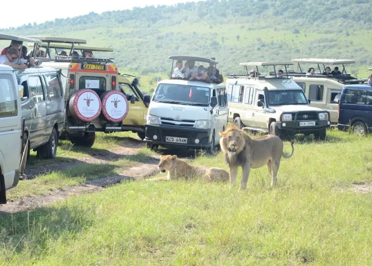Kenya Tourism Ministry to cap visitors in parks, game reserves www.theexchange.africa