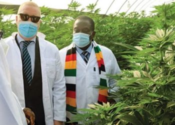 Zimbabwe President Mnangagwa (with scarf) with Swiss Bioceuticals Limited at the commissioning of the cannabis farm and processing plant (Photo/ Farmers Review Africa)