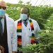 Zimbabwe President Mnangagwa (with scarf) with Swiss Bioceuticals Limited at the commissioning of the cannabis farm and processing plant (Photo/ Farmers Review Africa)