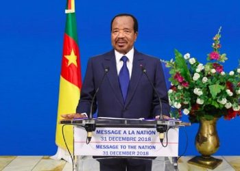 Cameroon woos diaspora investors, but faces government is mistrust www.theexchange.africa