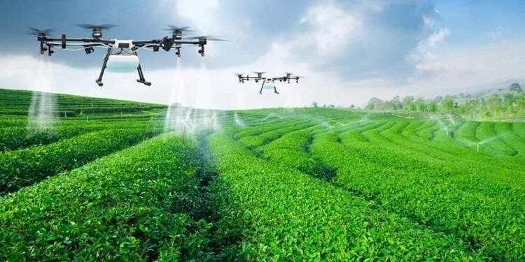 The future of drones in agriculture is promising, as drones are being developed to act as mechanical pollinators and incorporate smart applications, making them a promising and affordable technology to address the challenge of growing food insecurity. (Photo/ Shutterstock.com)