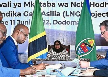 LNG in Tanzania is now a major sector of importance as Shell, ExxonMobil and Ophir Energy invest in Tanzania natural gas base: Photo by Pan African Visions