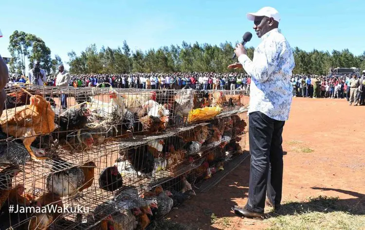 William Ruto speaks at a chicken auction in Turbo, Uasin Gishu county. Photo: William Ruto/Facebook.
