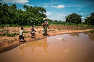 Africa is at the core of the global climate change catastrophe. www.theexchange.africa