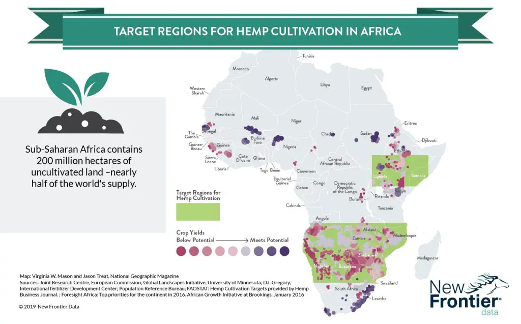 Target regions for hemp cultivation in Africa
