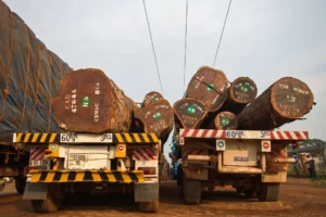 Trucks loaded with logs in Bangui, capital of the Central African Republic. www.theexchange.africa