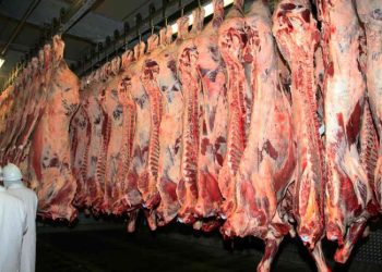 Botswana beef could be banned from the lucrative European Union market again – two independent veterinary bodies have warned. www.theexchange.africa