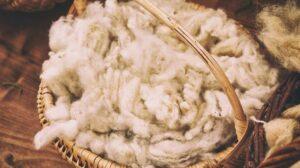 China lifts import ban on South African wool products Relief as China Lifts Import Ban on South African Wool products. www.theexchange.africa
