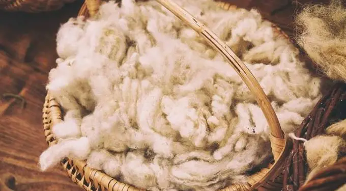 Relief as China Lifts Import Ban on South African Wool products. www.theexchange.africa