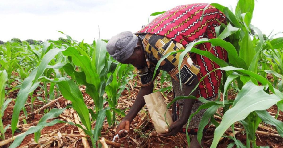 Africa Fertilizer Financing Mechanism