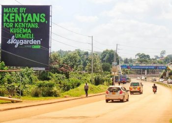 Sky.Garden, faces closure after funding fell through www.theexchange.africa