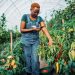 Smart Agriculture through Mobile Technologies in Africa. www.theexchange.africa