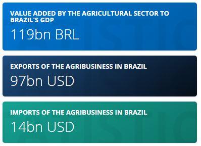 Brazil's agriculture revolution