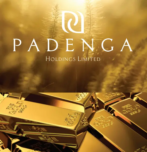 Padenga Holdings Limited posts strong earnings