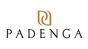 Padenga Holdings Limited logo. www.theexchange.africa
