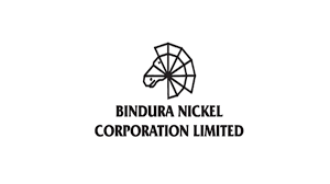 Bindura Nickel Corporation logo. www.theexchange.africa